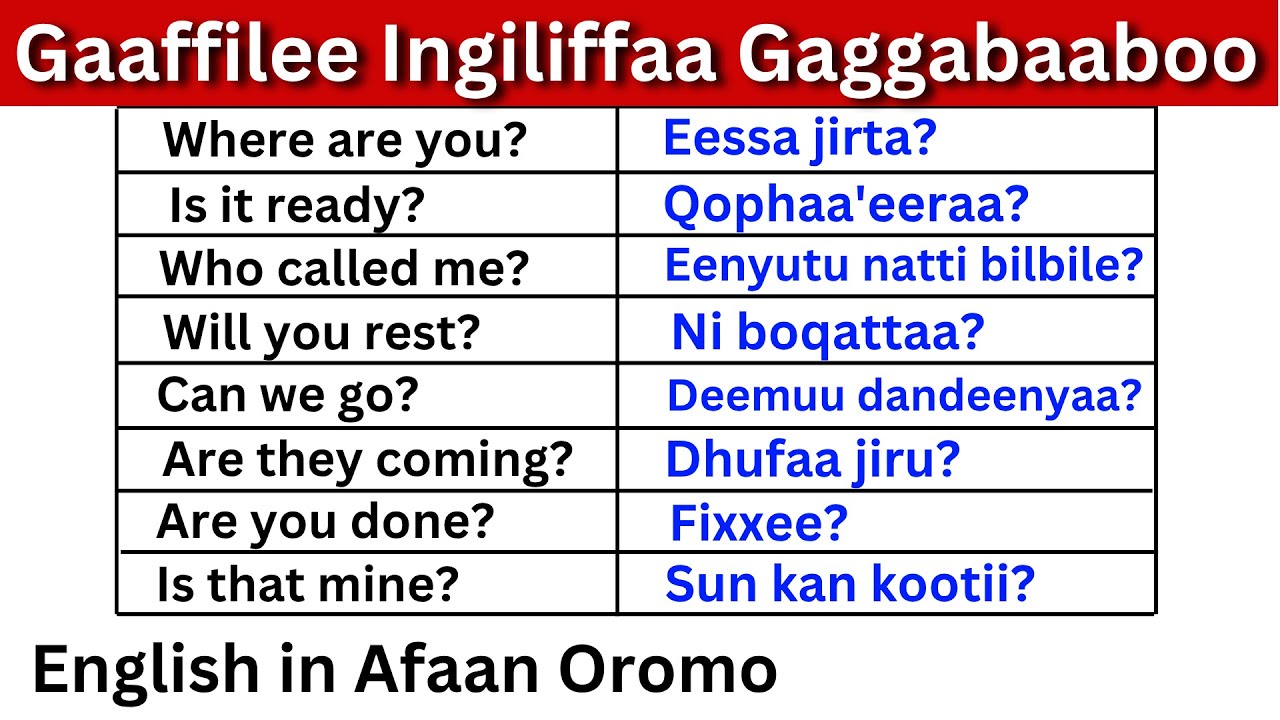 Gaaffilee Ingiliffaa Gaggabaaboo Kutaa 1 (English in Afaan Oromo) Learn English in Afaan Oromo