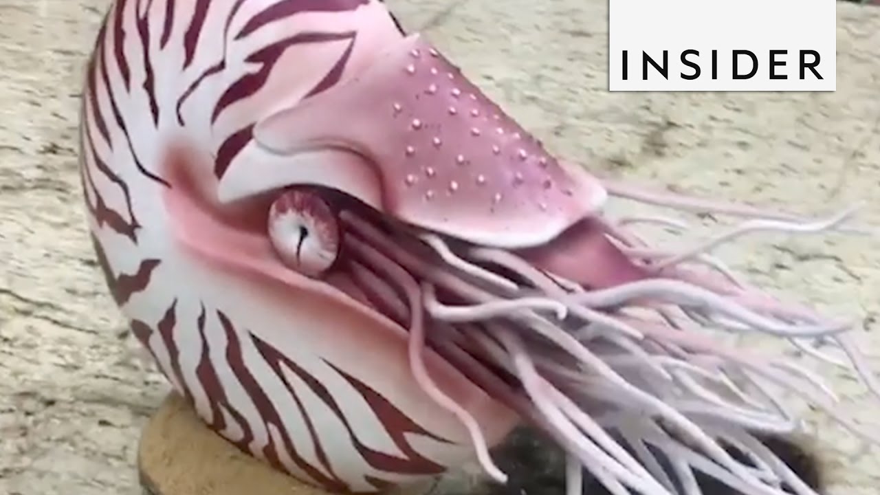 Realistic Nautilus Chocolate Sculpture