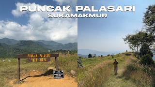 Puncak Palasari Sukamakmur | Panduan Lengkap