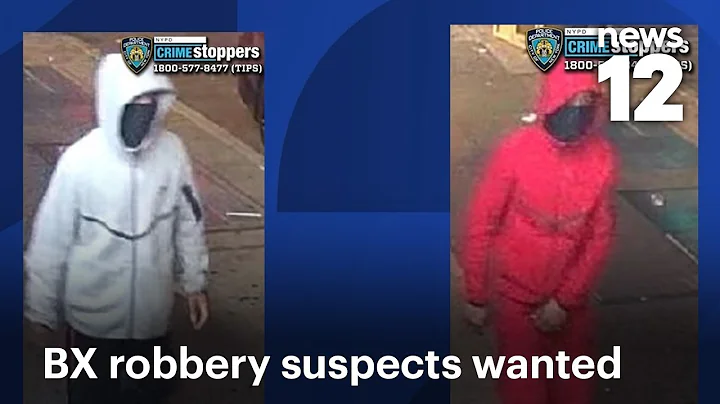 2 people wanted in Bronx robbery at Elder Ave. station | News 12