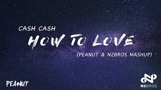 Cash Cash Mardison Mars - How To Love Peanut N2Bros Mashup