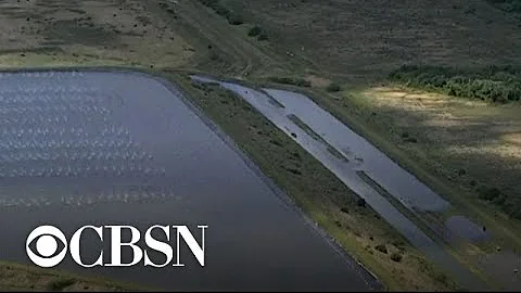 Toxic wastewater reservoir on verge of collapse in Florida