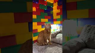 Kurt Took Over The Lego House