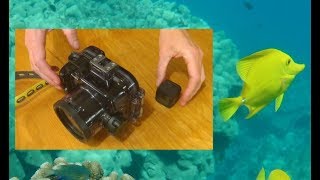 Filming Underwater - GoPro vs Sony RX100 - optical zoom