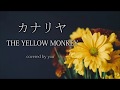 カナリヤ/THE YELLOW MONKEY(フル歌詞付き)covered by you