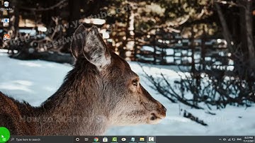 Windows 10 Home : How to Start or Stop SSDP Discovery Service
