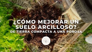 Cómo ha mejorado el suelo de mi huerto  De tierra arcillosa a ideal para cultivar | Huerta y huerta