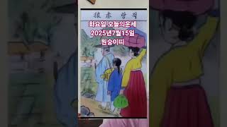 원숭이띠 오늘의운세 2025년7월15일 운세 #운세 #오늘의운세 #원숭이띠운세