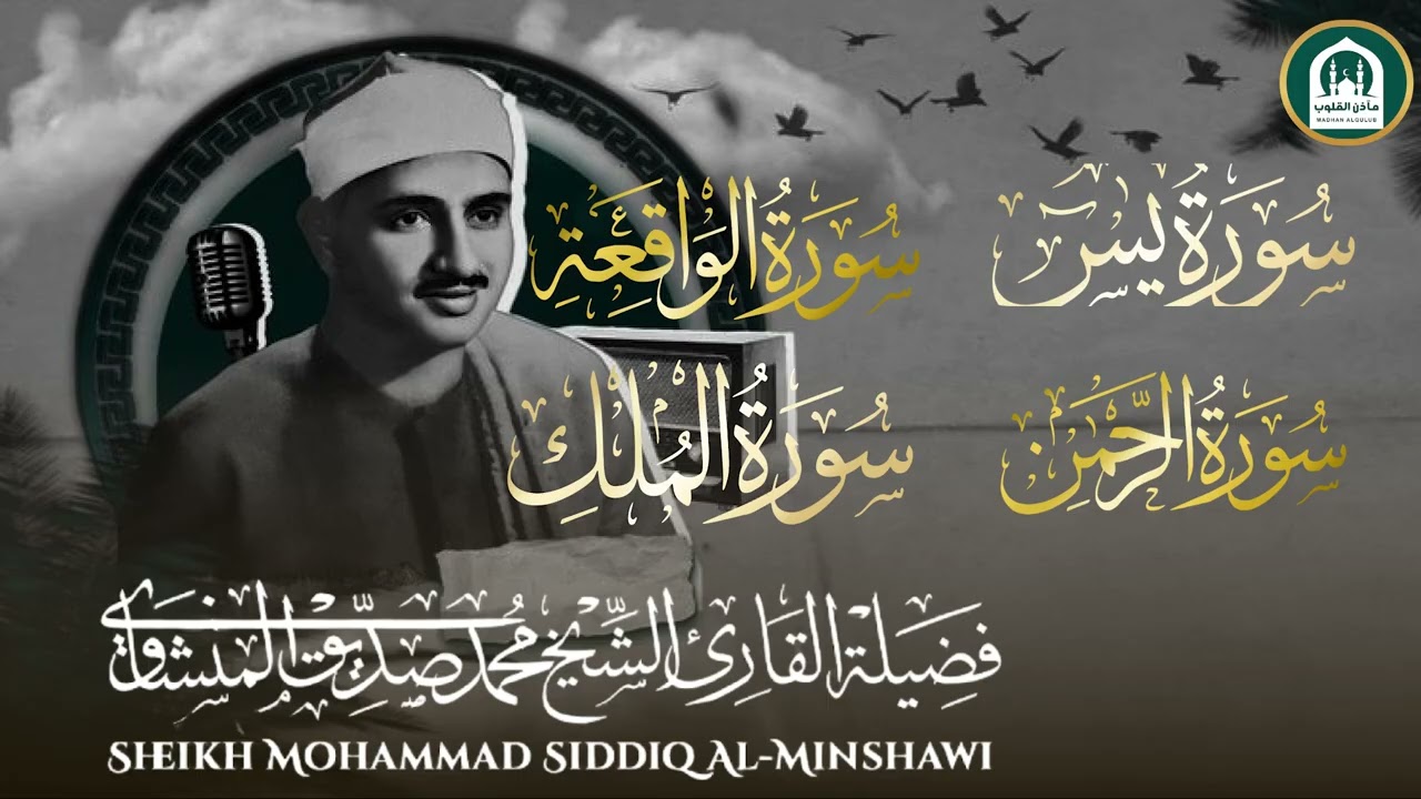 من أروع ما يُسمع وقت الضيق.. تلاوة تُذهب الحزن | الشيخ محمد صديق المنشاوي