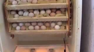 Механизм поворота лотков в инкубаторе из холодильника