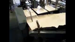 Super Looper Vid
