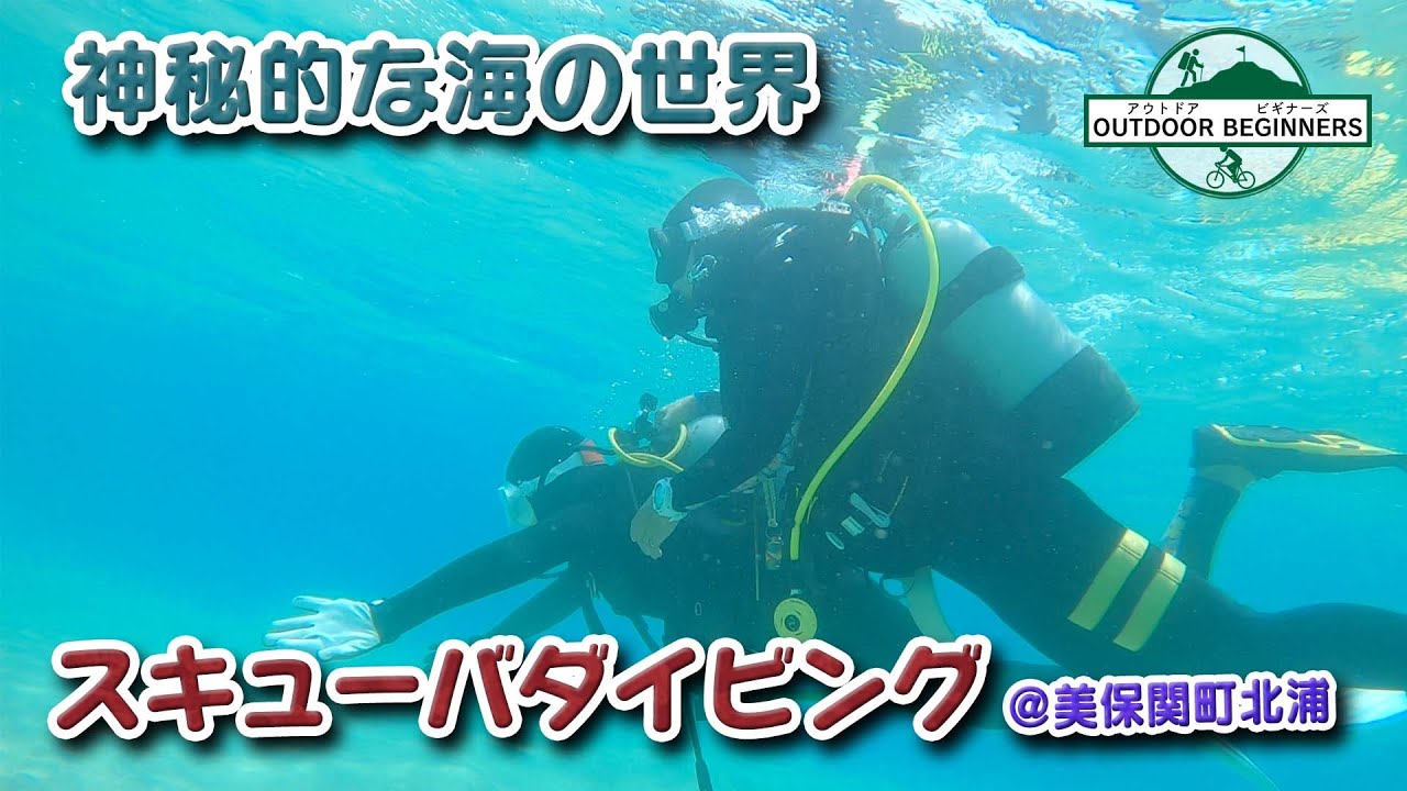 【超初心者】スキューバダイビングで神秘的な海の世界を満喫＠美保関町北浦