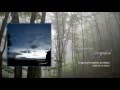 Imaginary Perception - 白霧の森の中で (in the forest of white mist)
