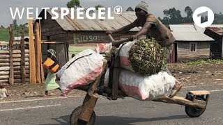 Chukudu: Die rasenden Roller im Kongo | Weltspiegel