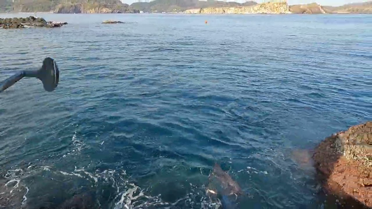 島根県 隠岐郡 知夫村　知夫里島　沖ノ島