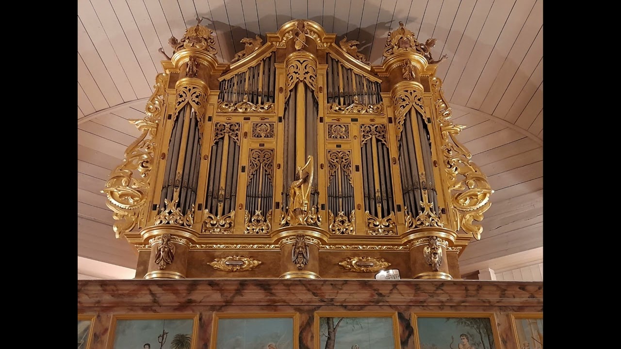 17th Century Swedish Organ Music played by Riccardo Gnudi in