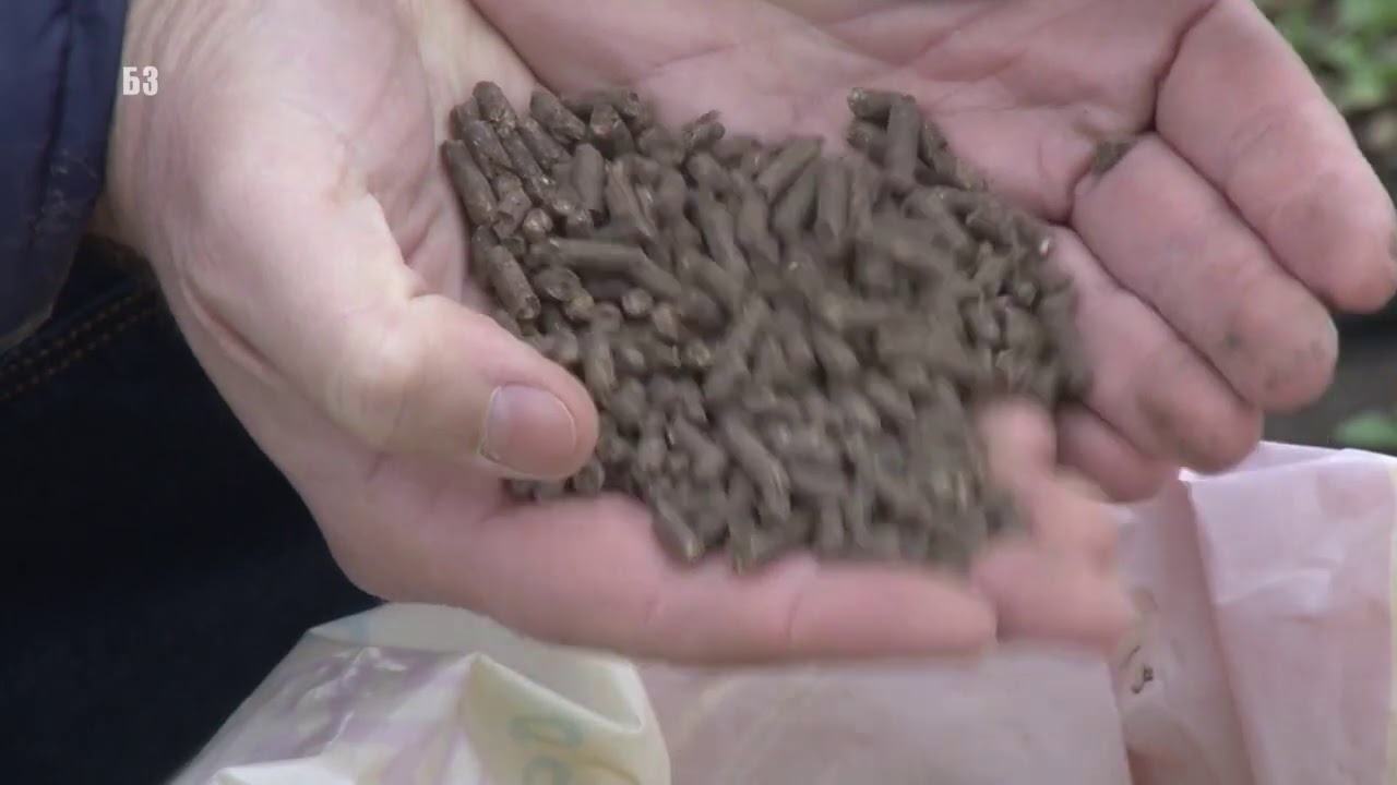 BOLJE OD STAJNJAKA-ITALPOLLINA za povrtare i voćare - ALI I dodatnih MILION bakterija/gramu+GUANITO