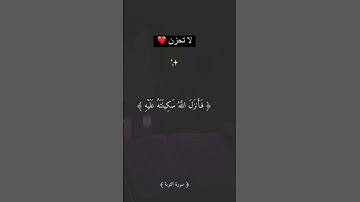 اكتب شيئ تؤجر علية 🌿 #المجاهد_ليث_شبيلات_رحمه_الله #راية #اكسبلور #القرآن_الكريم #سورة_التوبة