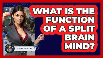 What Is The Function Of A Split Brain Mind? - Strange Science HQ