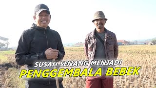 12 RIBU PERHARI DARI MENGGEMBALA BEBEK ORANG LAIN - ROMADHON SABAR MENUNGGU KEAJAIBAN
