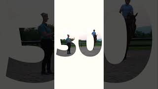 30 Years of Platinum Performance®