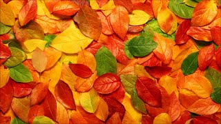 Video thumbnail of "Glazunov: The Seasons: Autumn (Scottish National Symphony Orchestra, Neeme Järvi)"
