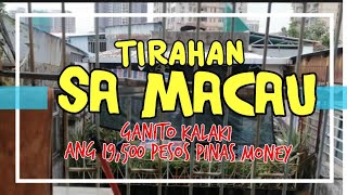 Macau Ofw Ganito Tirahan Ng Mga Pinoy Sa Macau Pag Gusto Mo Ng Privacy At Tahimik