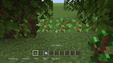 Planting 20 million trees in minecraft. #teamtrees
