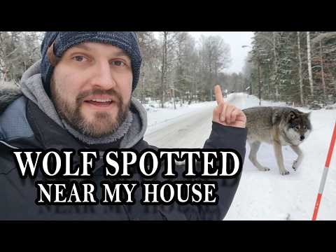 雲行千里-2(香港)