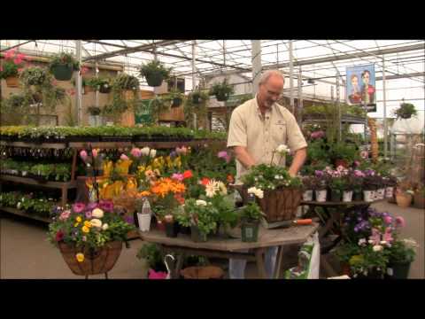 Elegant Hanging Baskets for Mom with Scott Pearce