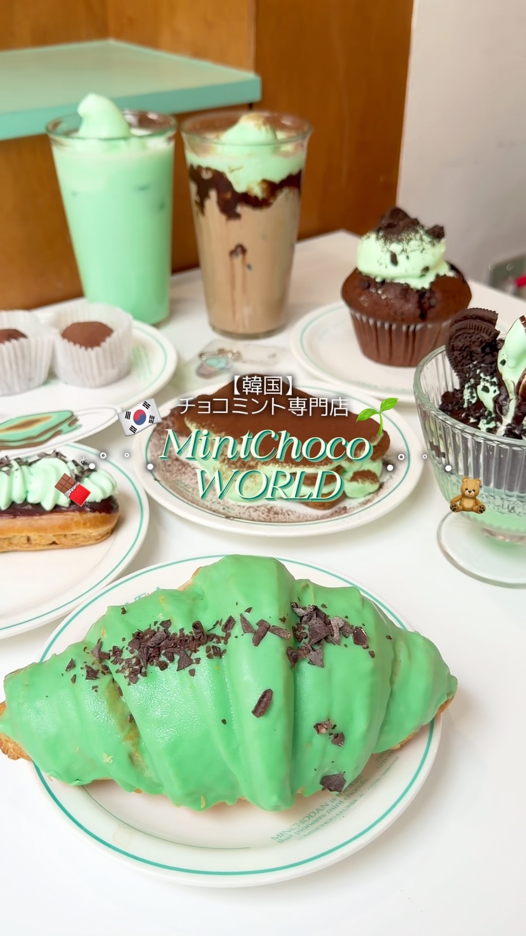 韓国にあるチョコミント専門店🇰🇷#チョコミント #mintchocoworld