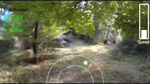 Deep Neural Network Trail Navigation for Drones within the Forest Canopy