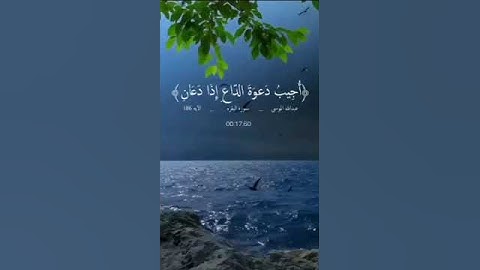 عبد الله الموسى - سورة البقرة - الأية 186❤