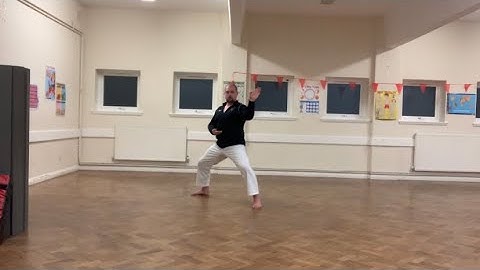 SI AN SHIN (BROWN BELT 2nd KYU