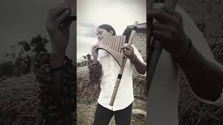 Gülümcan | Panflute | Quenacho | Relax Music| by Raimy Salazar (Vertical Video)