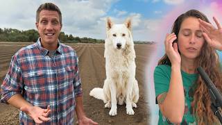 We found a STRAY Dog on our Farm, can a Pet Psychic find her Home