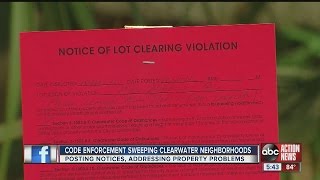 Clearwater Code Compliance aims to help Lake Bellevue neighborhood