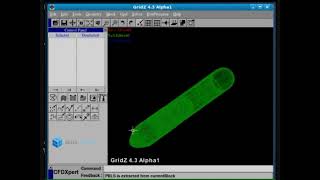 Customized CFD software: Structured grid generation automation