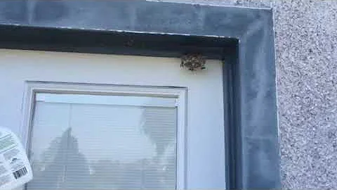 Nature's Way Natural Pest Control Product Demonstr...