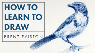 How To Learn To Draw