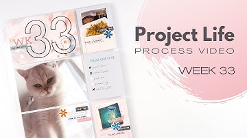 Project Life Process Video // Week 33, 2023 // Citrus Twist Kits