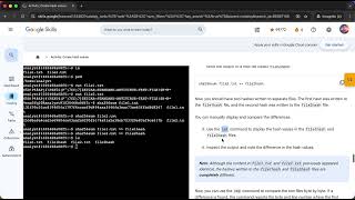 Activity: Create hash values