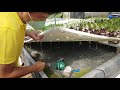 Arch. Jigs Garcia's Hydropro Hydroponics Farm | From Architecture to Agribusiness | CDO