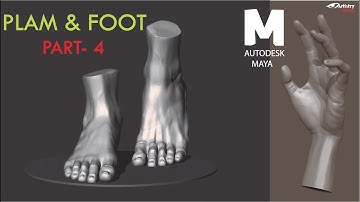 (Part- 4) Palm HAND and FOOT in Autodesk 3D Maya character modeling Body Photo Realistic