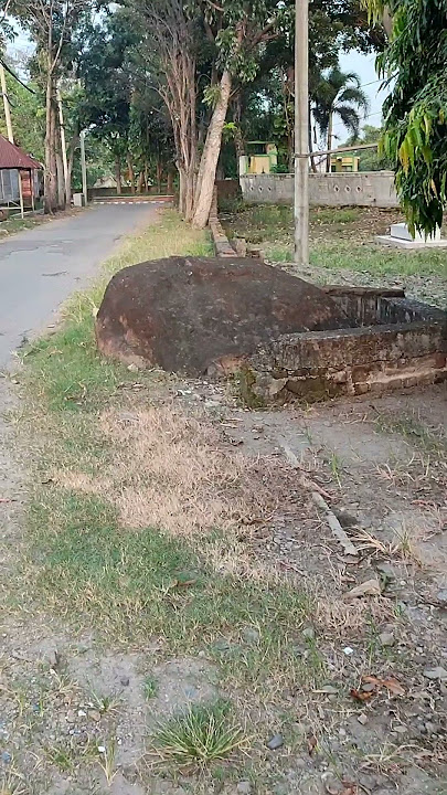 heboh lagi, ular bertapa sampai membatu di tepi jalan raya