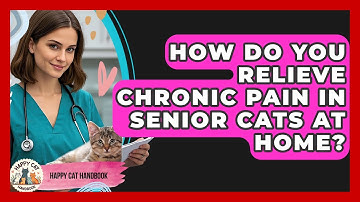 How Do You Relieve Chronic Pain In Senior Cats At Home? - Happy Cat Handbook