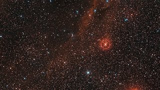 Zooming in on the red hypergiant star VY Canis Majoris