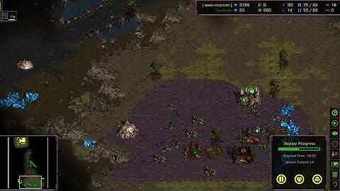 [View in Full Screen] JavaLearningBot Accidental Marine Resistance against Brood War AI