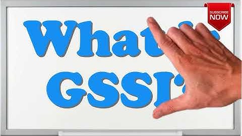 What is the full form of GSSI?