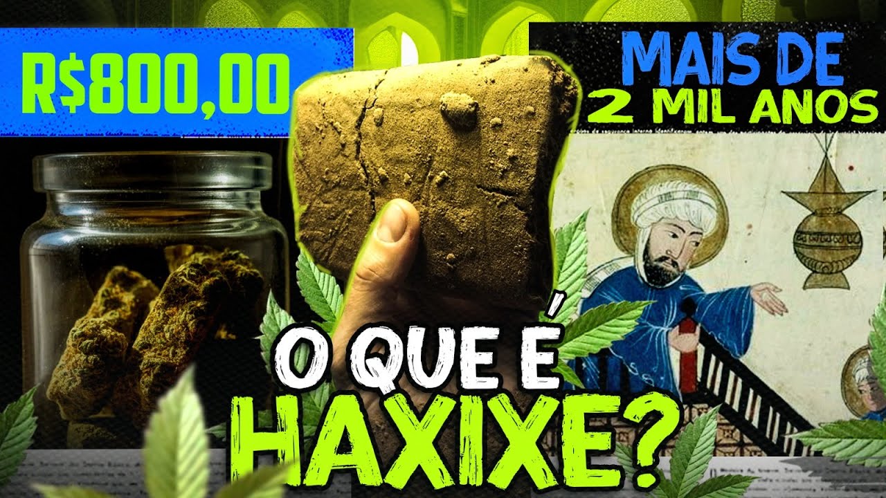 O QUE É O HAXIXE? | #14